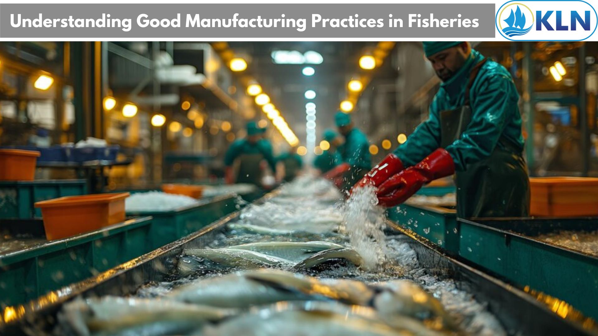 Understanding Good Manufacturing Practices in Fisheries